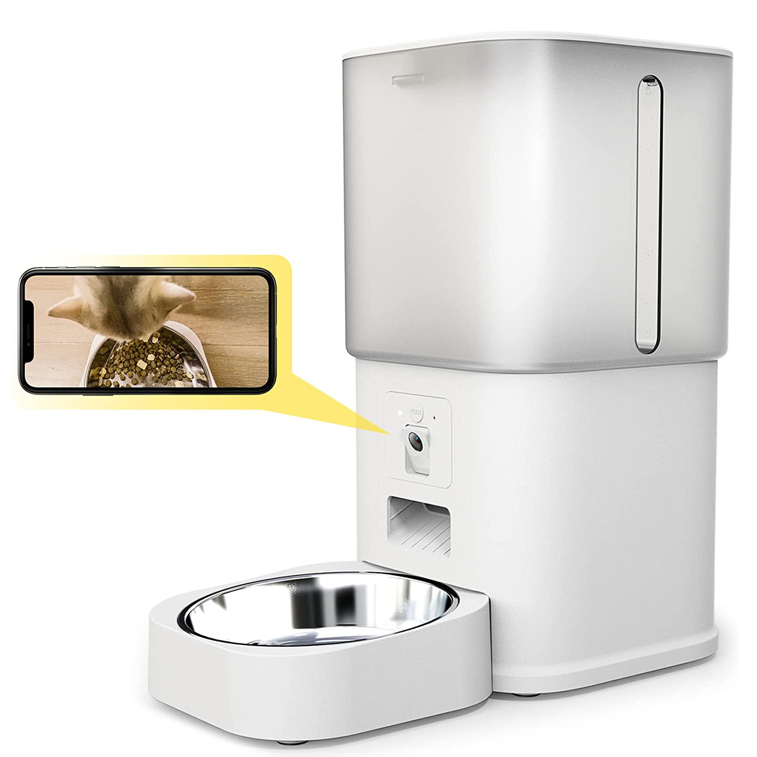 AORUEFAR Cat Automatic Feeder & Reviews Wayfair