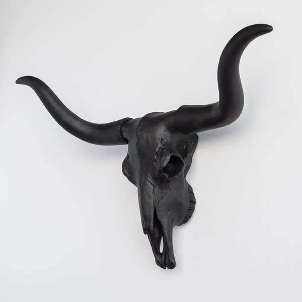 24" 30" Steer Horns Polished High Gloss Cow Taxidermy Singles 
