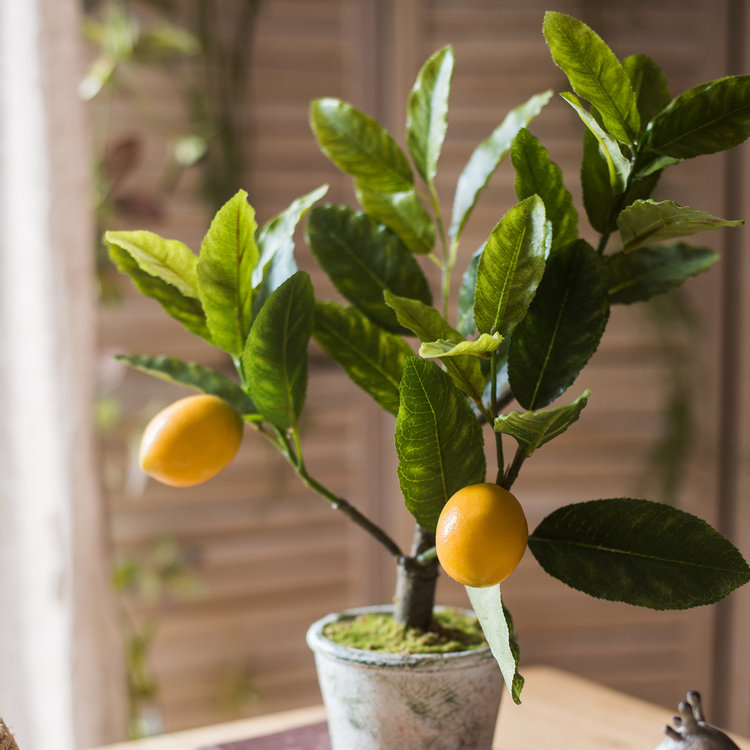 Charlton Home® 15.7'' Faux Lemon Plant in Planter Wayfair