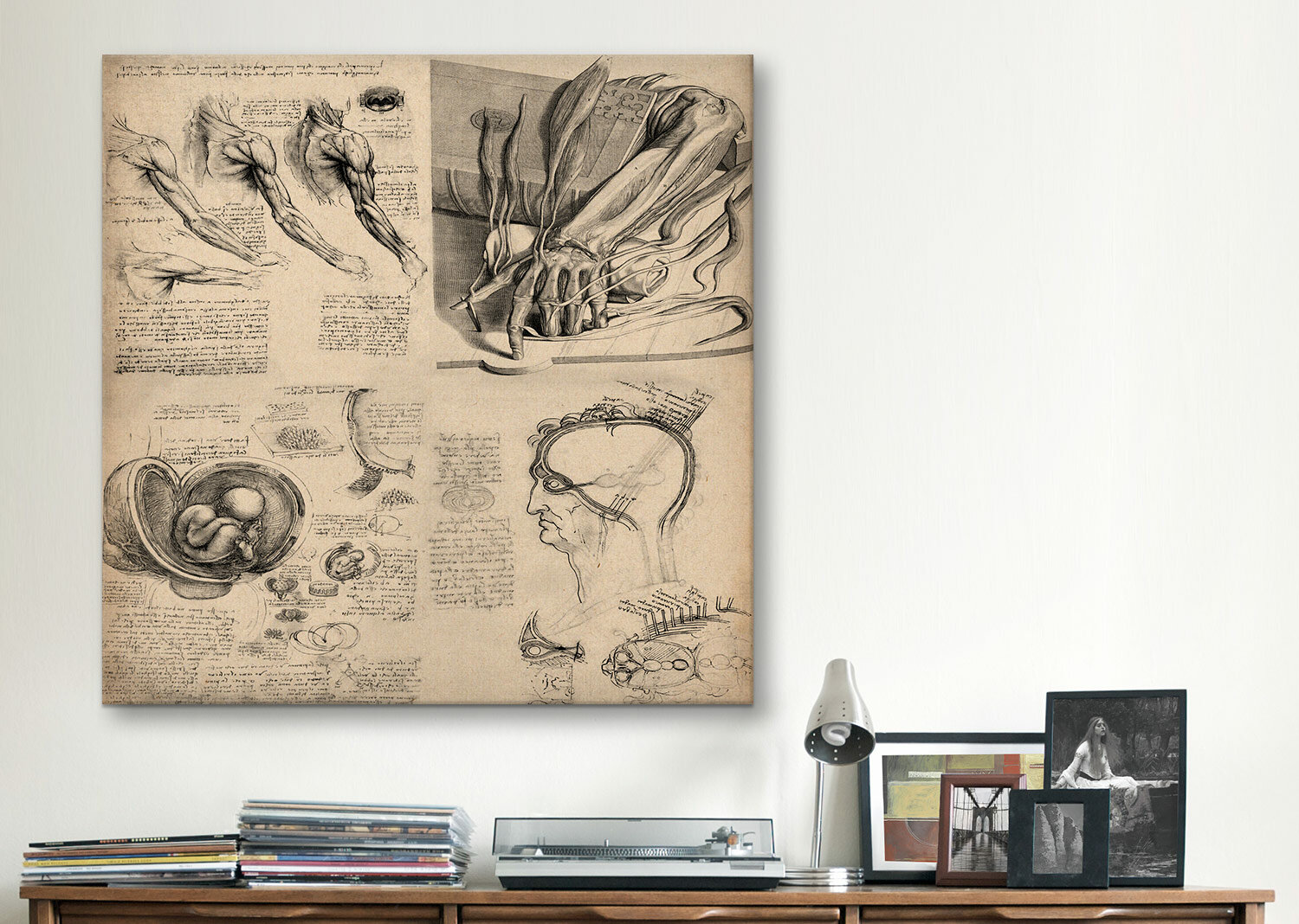 Vault W Artwork Human Body Anatomy Collage by Leonardo Da Vinci - Textual  Art on Canvas | Wayfair