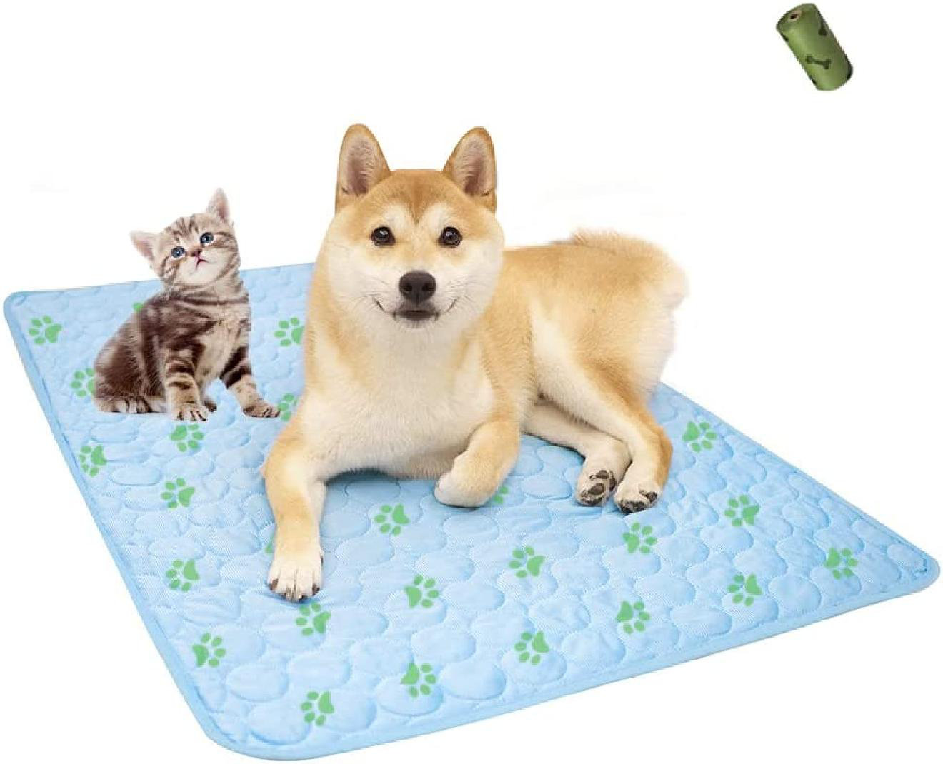 Is Softened Water Safe For Dogs