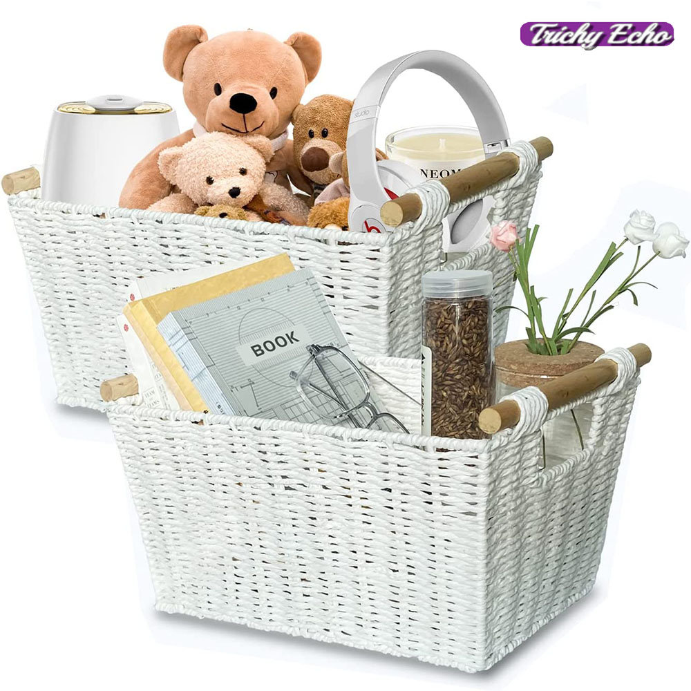 Trichy Echo 2 Piece Basket Set Wayfair