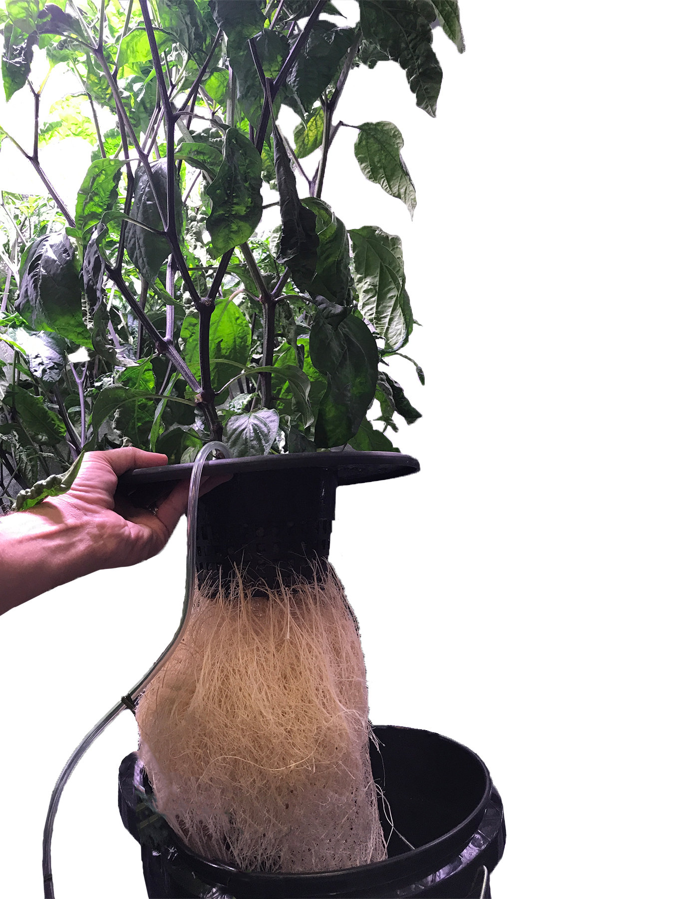 Viagrow Hydroponic Bucket Lids, for 5 and 3.5 Gallon, 6 in. Bucket Net