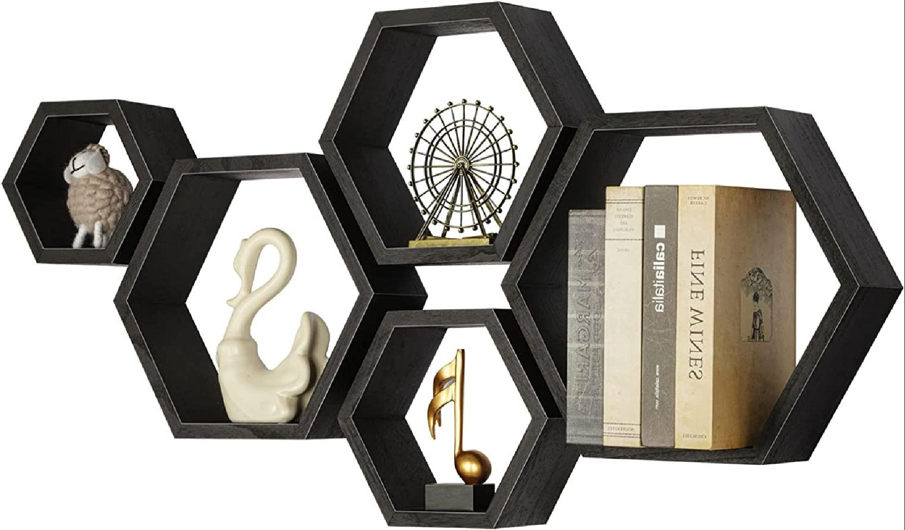 Latitude Run® Wall Mounted Decorative Shelf Storage Hanging