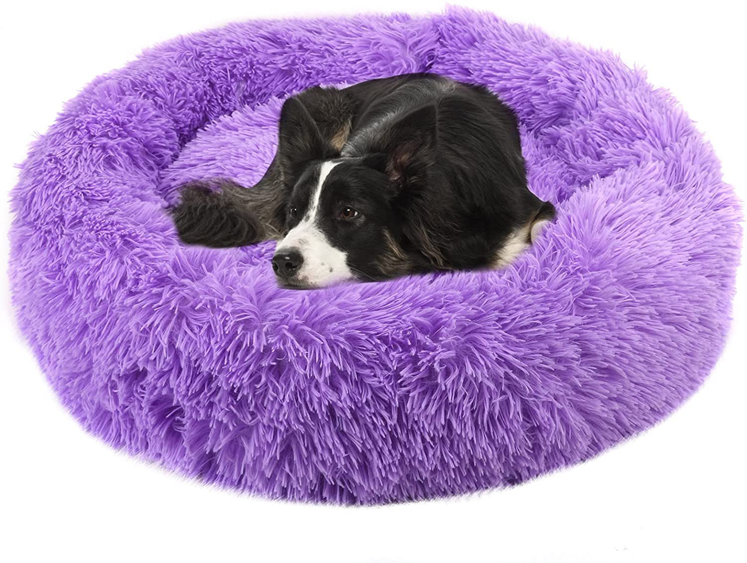 anti anxiety calming dog bed