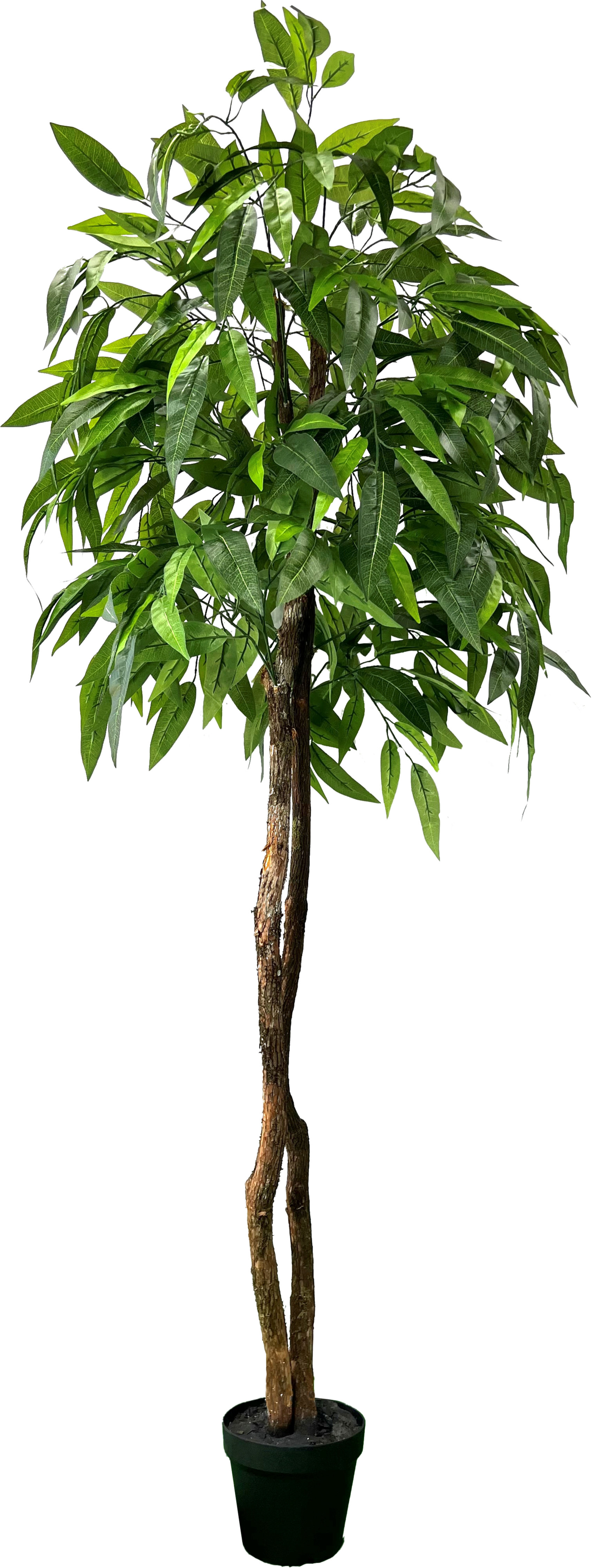 Primrue HandMade Primrue All Seasons 6'' Artificial Mango Tree Wayfair