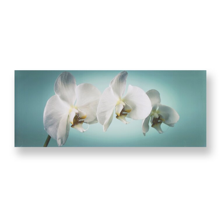 ALL SIZES Teal Orchid Floral Canvas Wall Art Picture Print 
