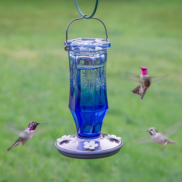 Perky-Pet  Hummingbird  32 Oz Glass  Nectar Feeder  5 Ports Pack Of 2 