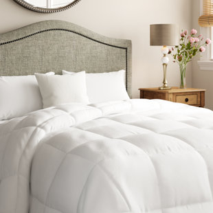 Home Expressions Comforter | Wayfair