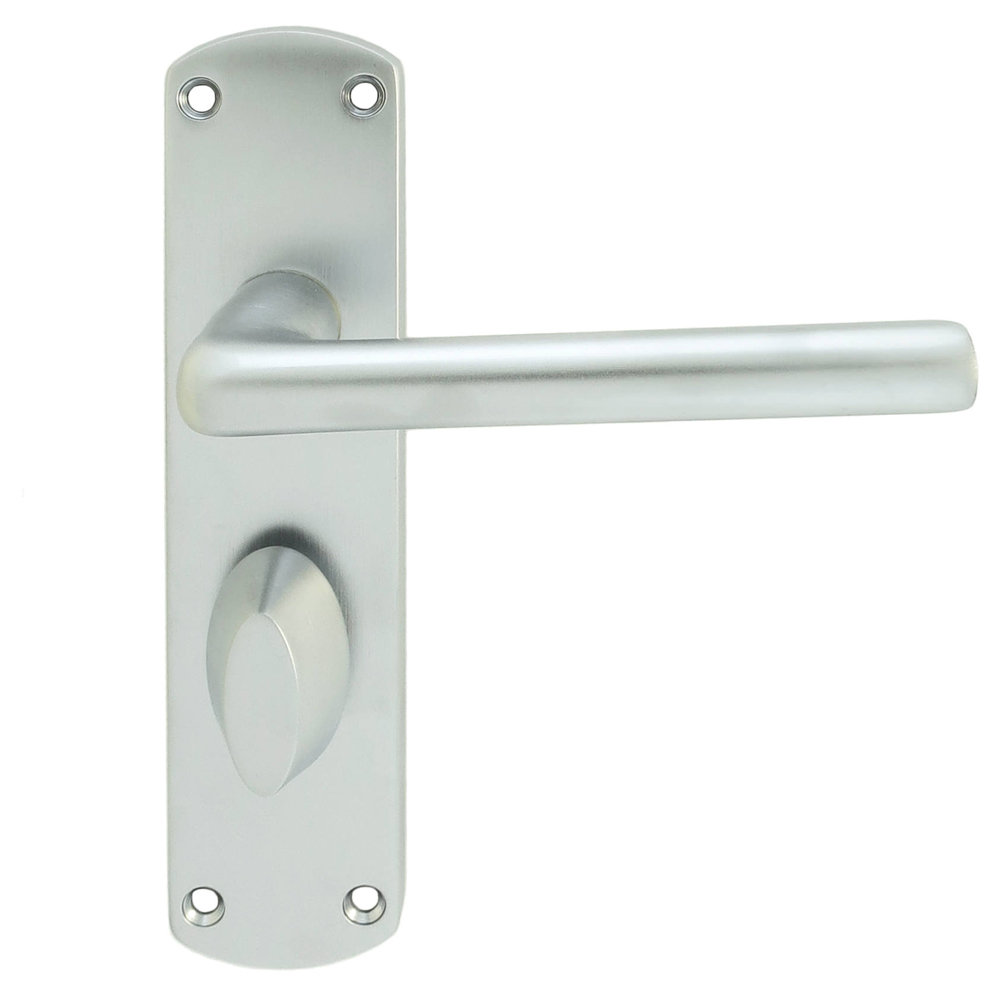 Carlisle Brass Serozzetta Uno Door Handles On Back Plate Bathroom