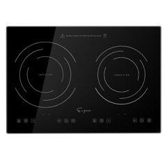 2 burner electric cooktop drop in