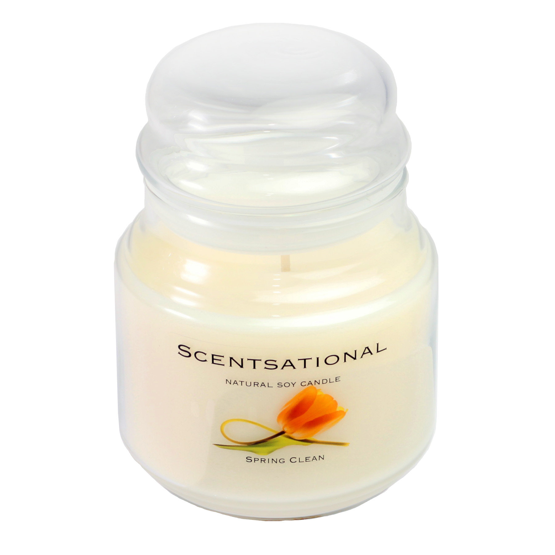 SCENTSATIONAL NATURAL SOY CANDLE Wayfair