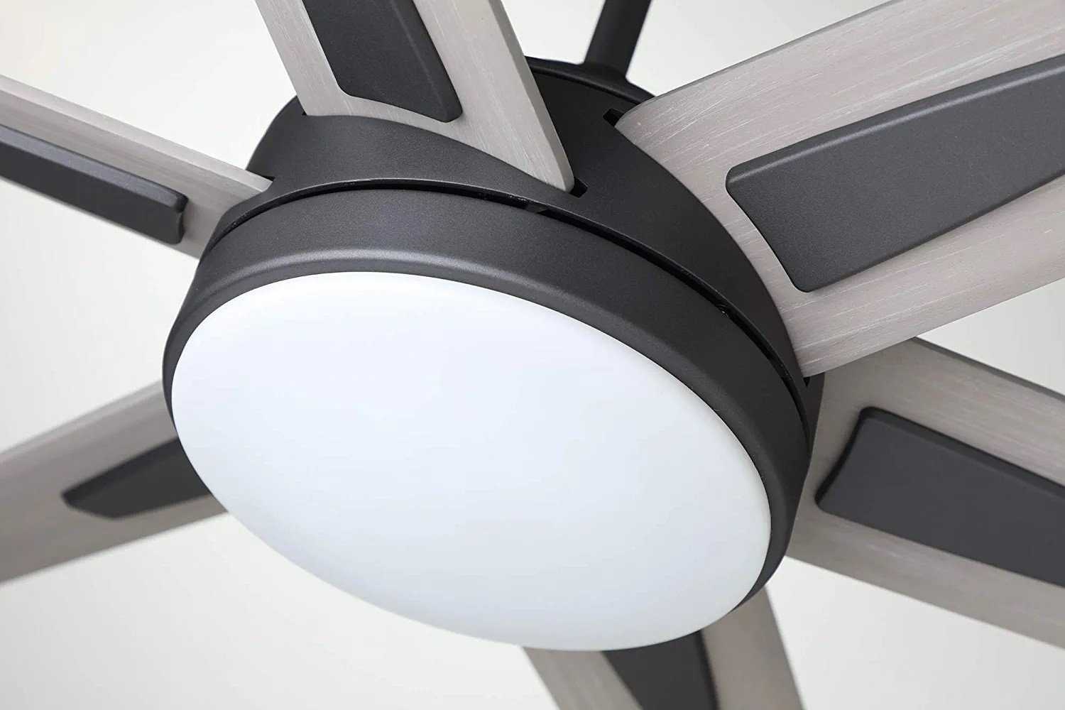 Luminance Brands Ceiling Fan with LED Lights Wayfair