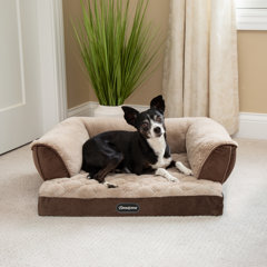 simmons beautyrest pet colossal rest extra large orthopedic dog bed