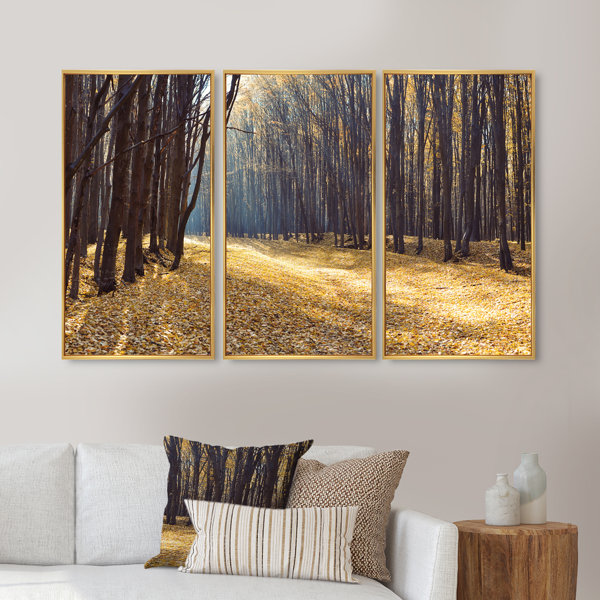 Millwood Pines Path In The Fall Forest Panorama Framed On Canvas 3 ...