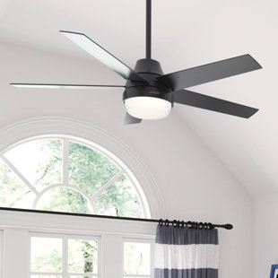Hollister Hunter Ceiling Fan | Wayfair