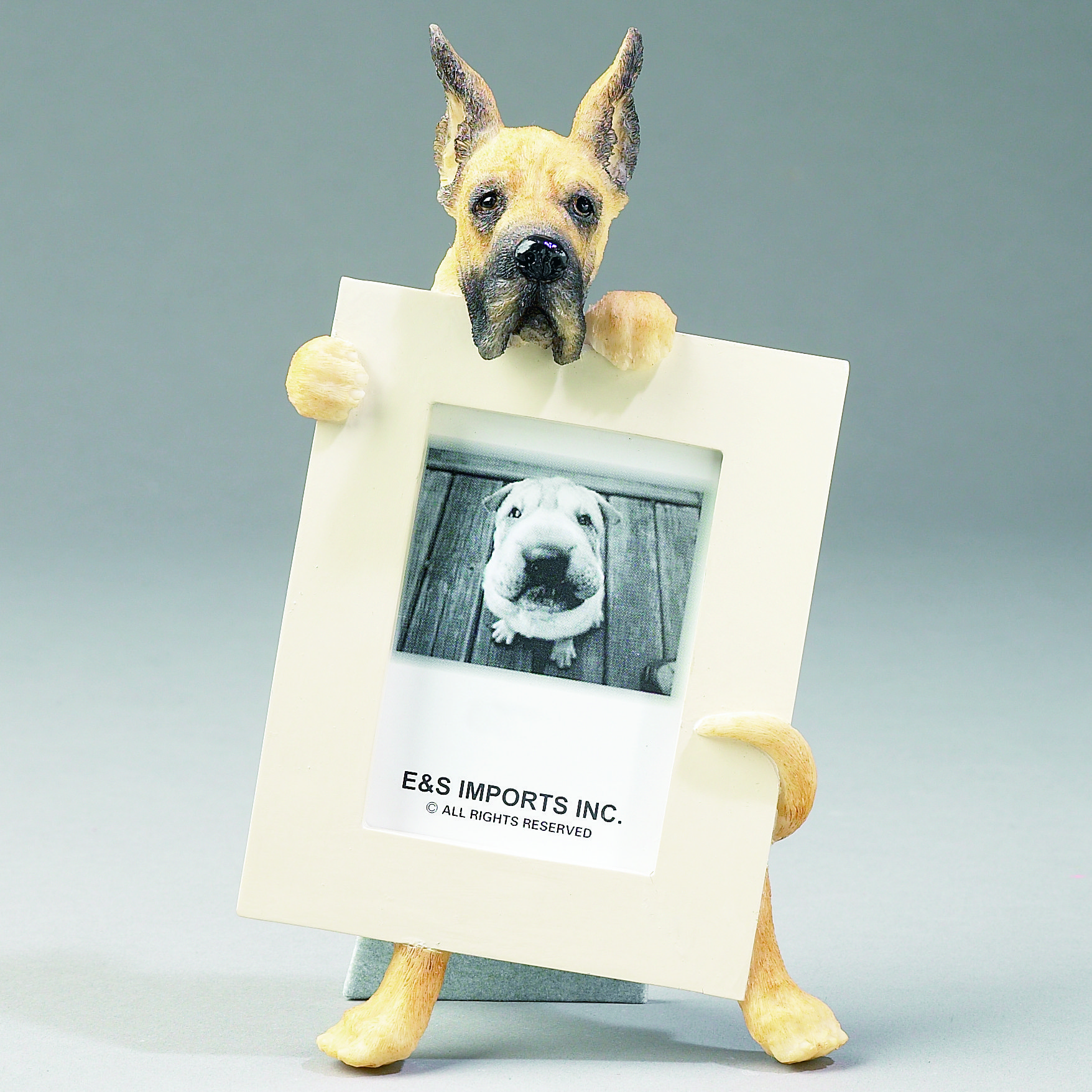 Espets Picture Frame Wayfair
