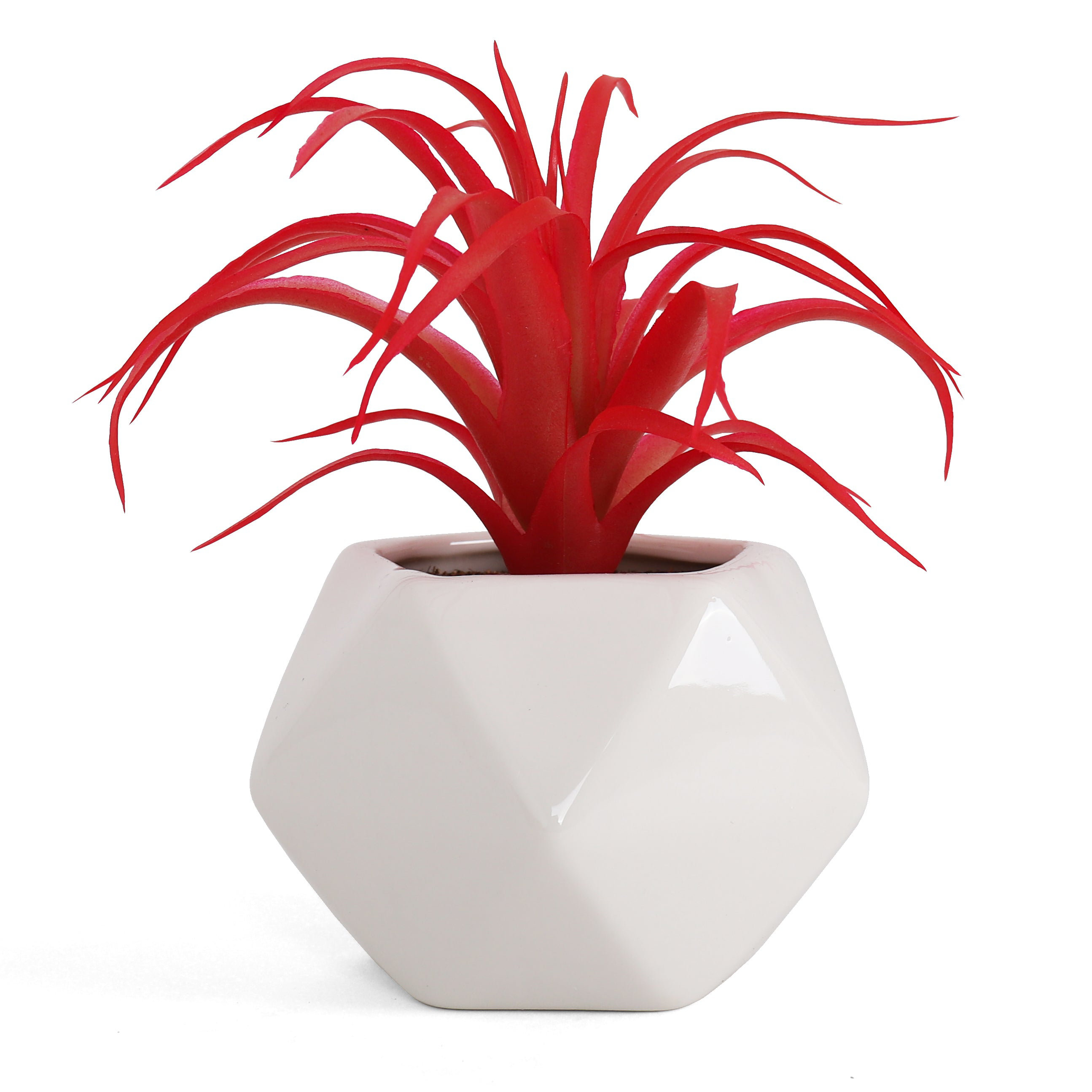 Primrue 6'' Faux Succulent in Ceramic Planter Wayfair