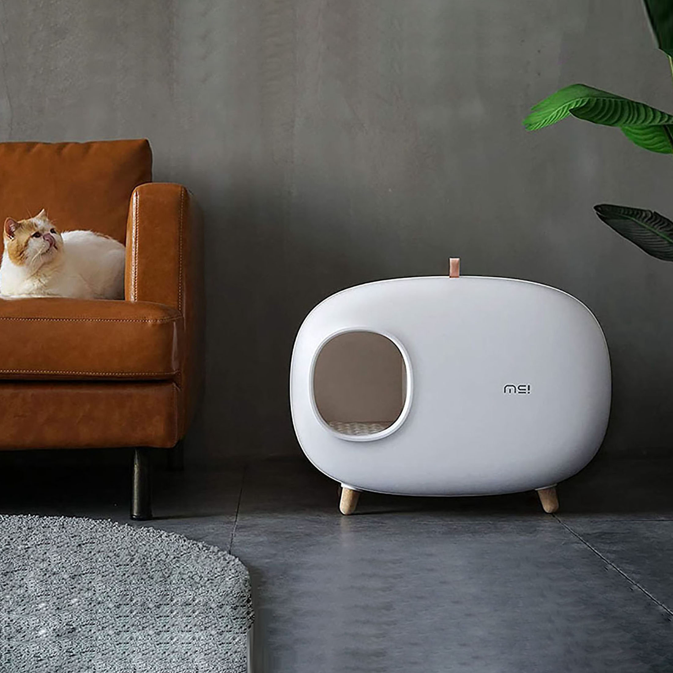 petsceo Modern Stylish Cat Litter Box,Cute Litter Box With Scoop