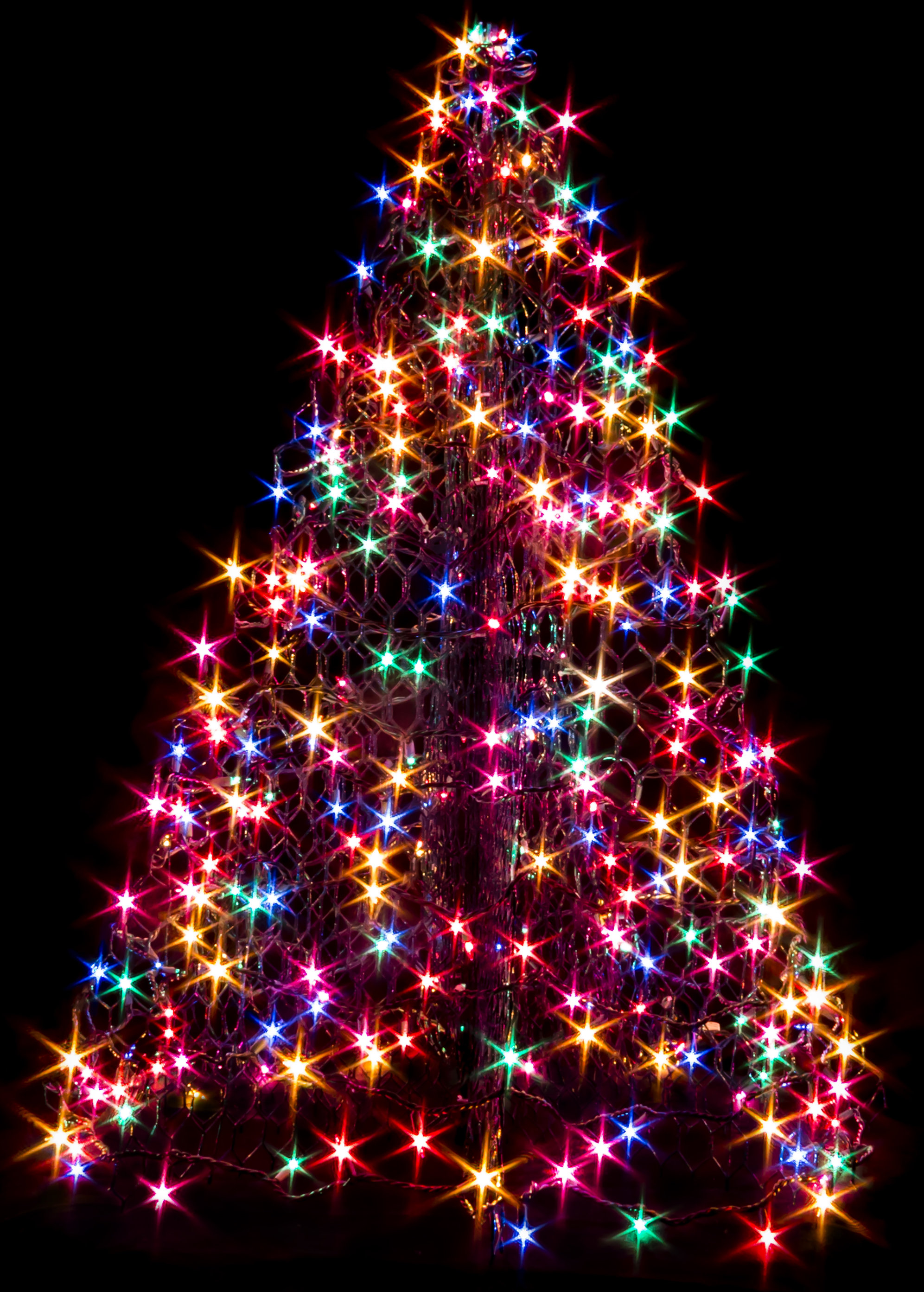 The Holiday Aisle® 48.5'' LED Lighted Trees & Branches & Reviews Wayfair