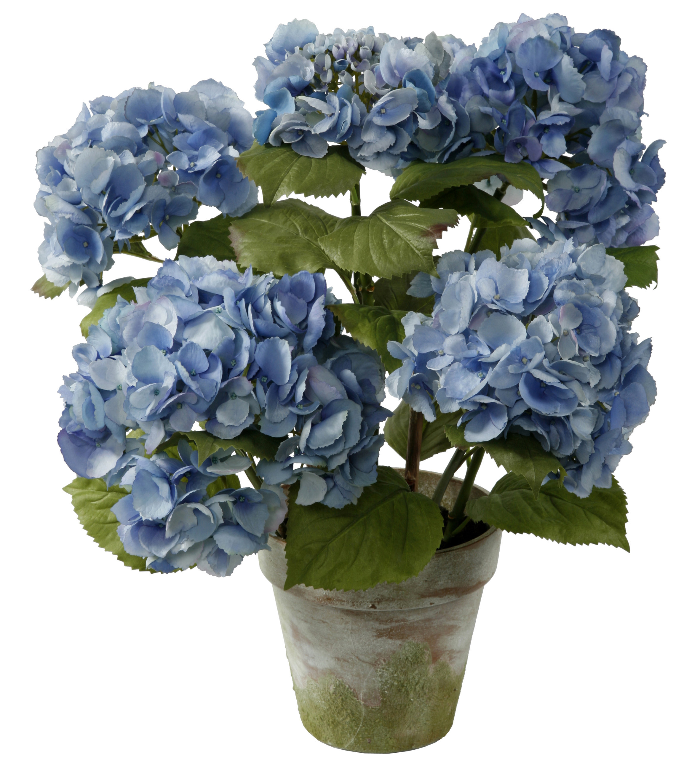 Winward Silks Hydrangea Floral Arrangement in Terracotta Pot & Reviews