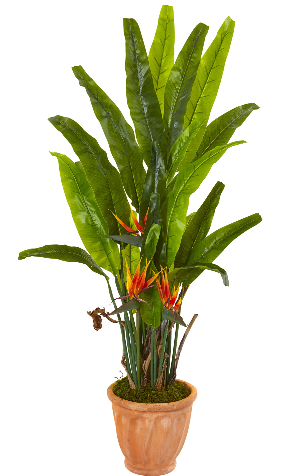 Bay Isle Home Artificial Bird of Paradise Plant in Planter Wayfair