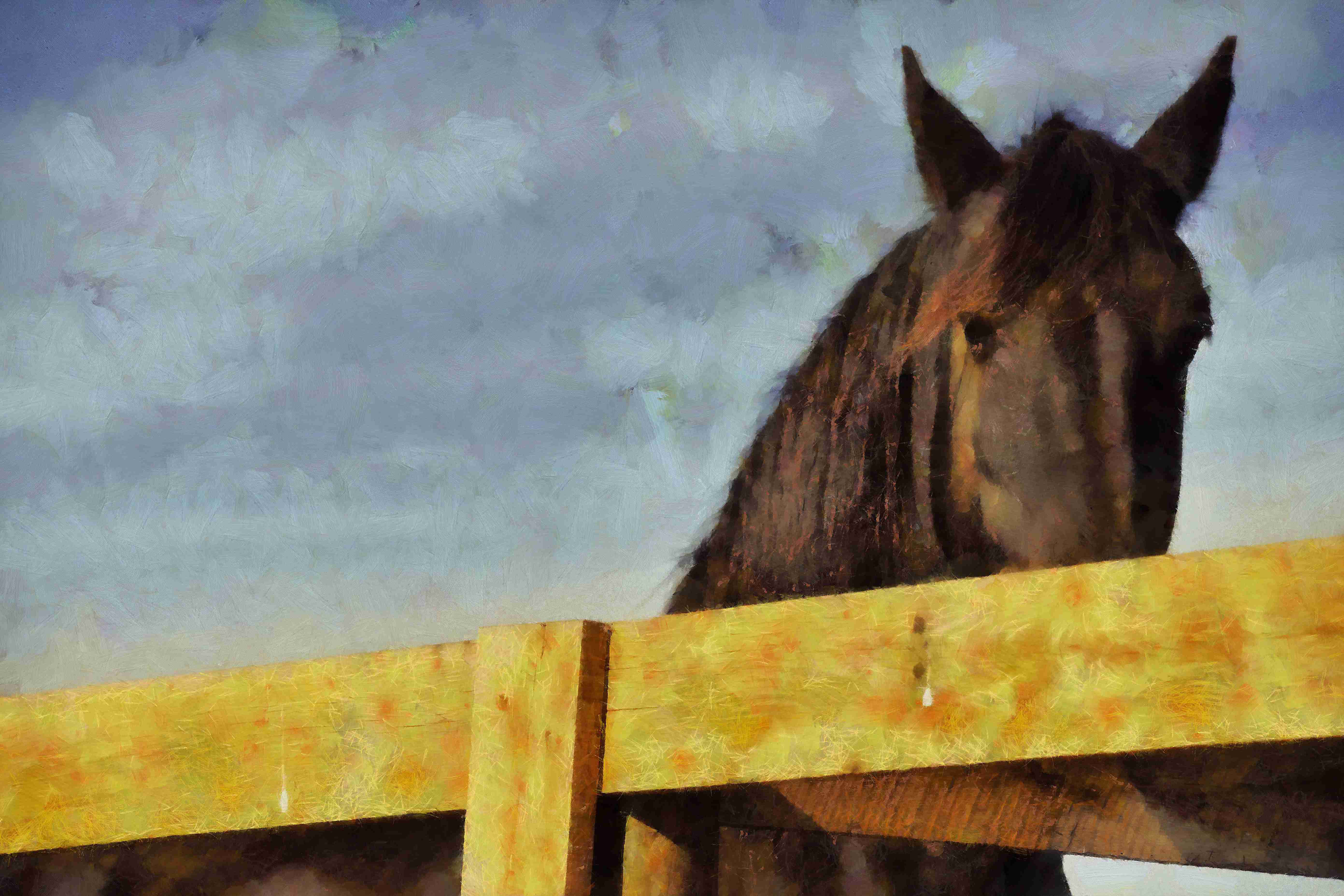 August Grove® Painted Horse Peeking Over Fence Wrapped Canvas