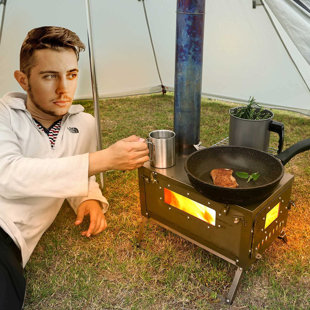 Wood & Pellet Stoves You'll Love in 2022 - Wayfair