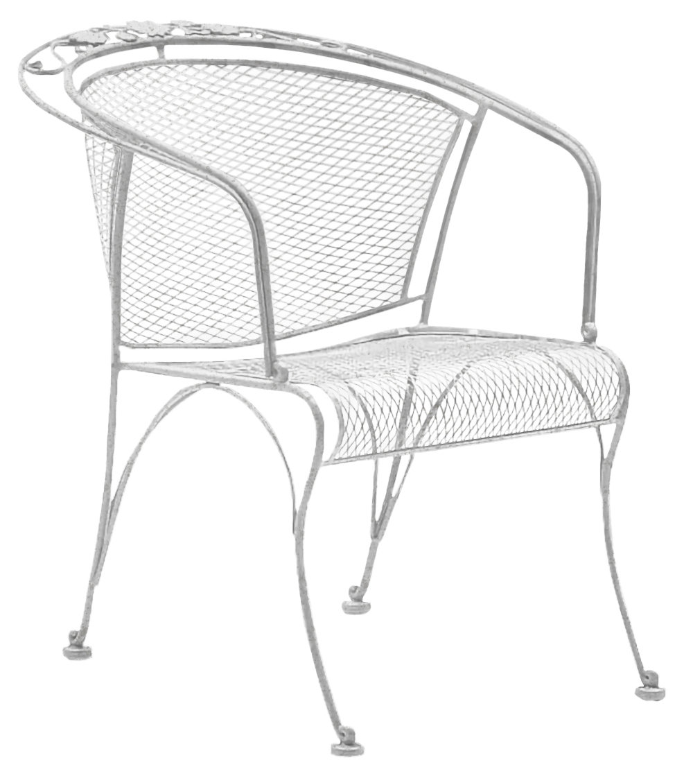 Woodard Briarwood Coil Spring Patio Chair & Reviews Wayfair