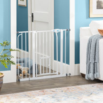 infrared basking spot