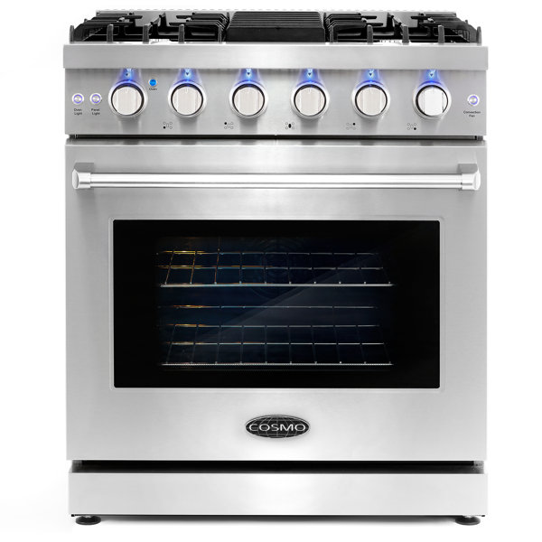 freestanding gas range with downdraft ventilation