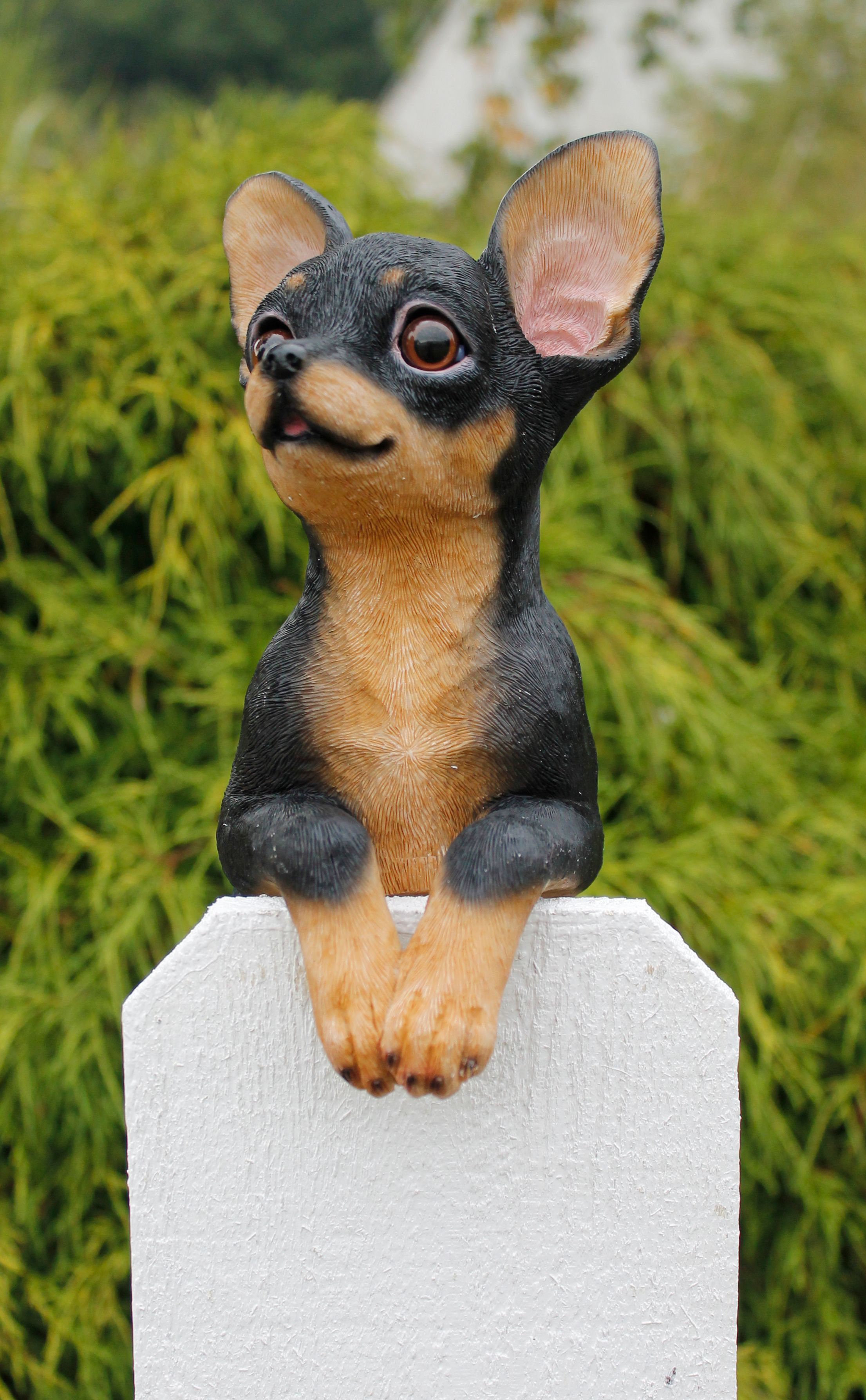 Arlmont & Co. Anja Hang on Chihuahua Garden Statue & Reviews | Wayfair
