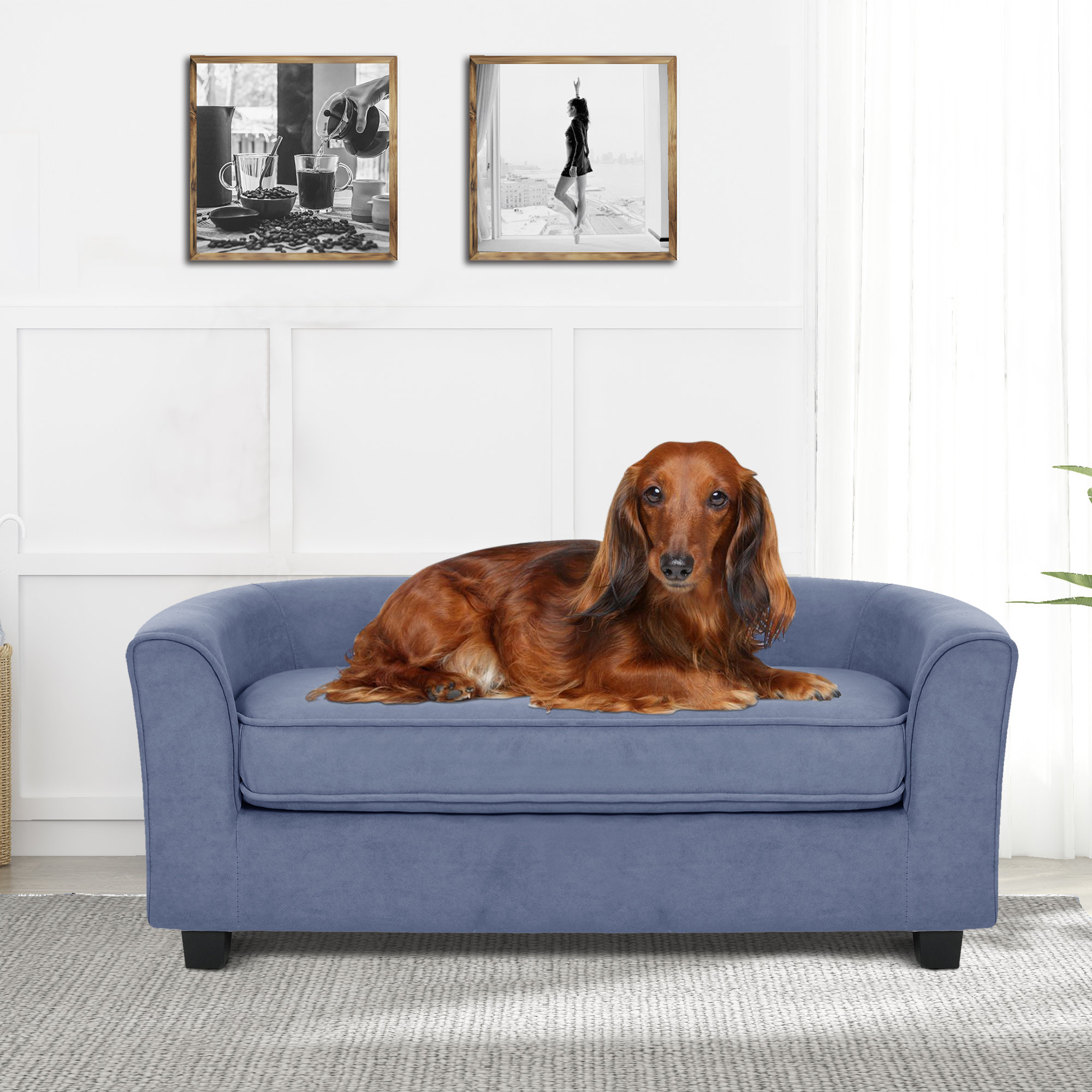 Spirit Up Art 40" Dog Sofa & Reviews Wayfair