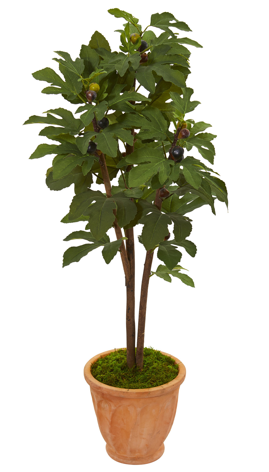 Gracie Oaks Artificial Fig Tree in Planter Wayfair
