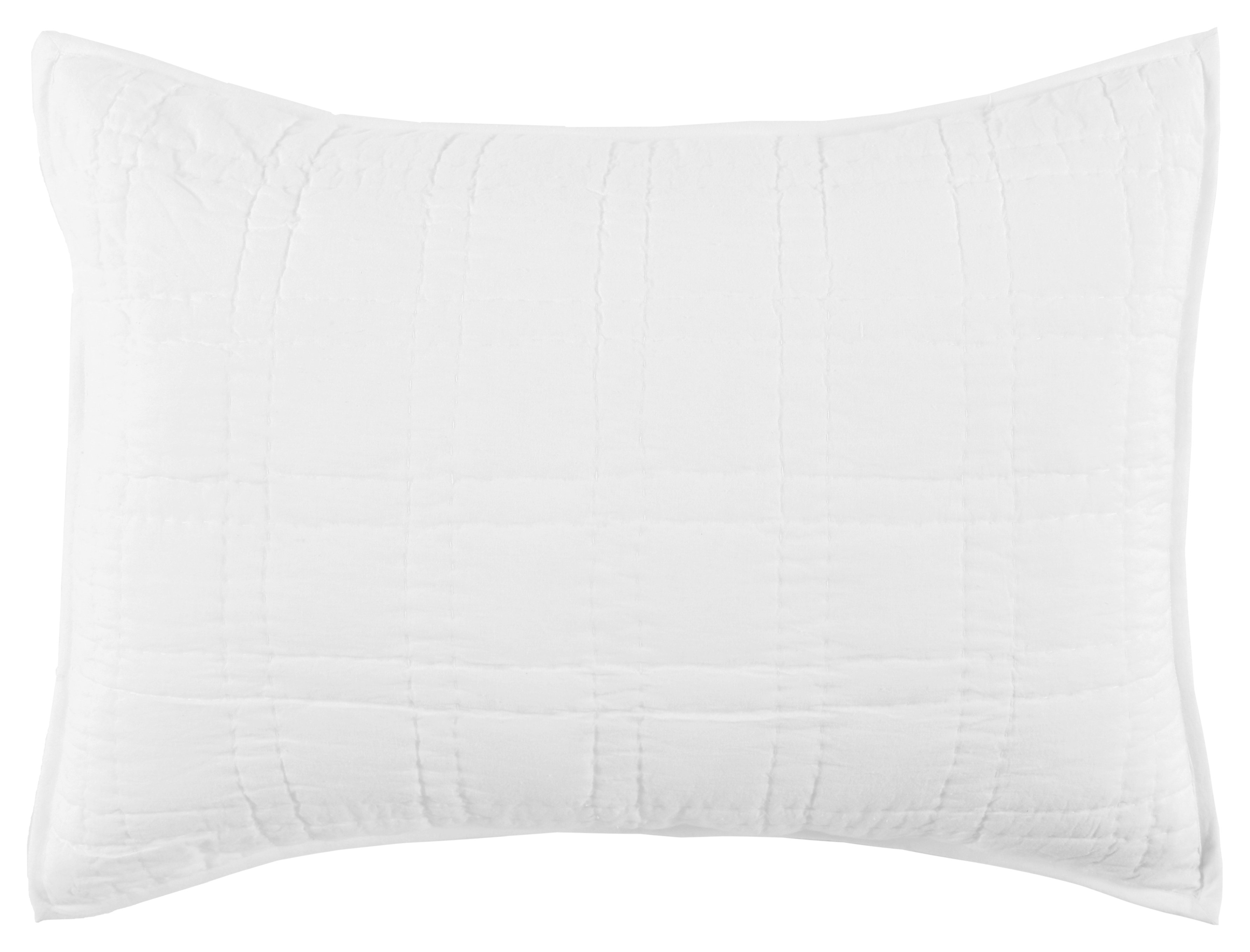Birch Lane™ Hailee 100 Cotton Pillow Sham Wayfair