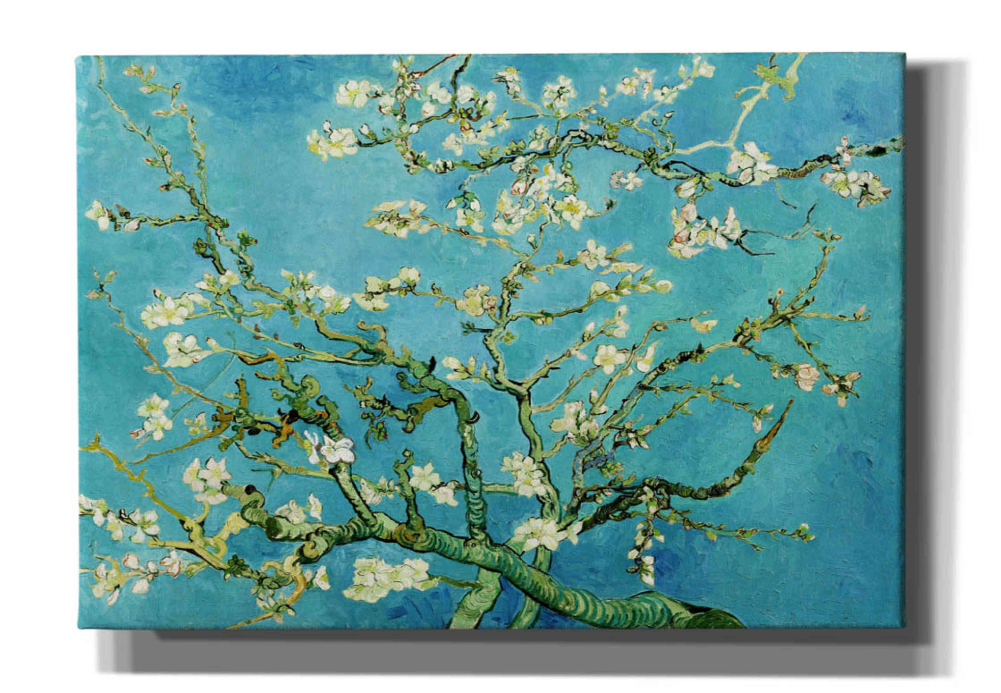Vault W Artwork Almond Blossoms by Wrapped Canvas Print Wayfair