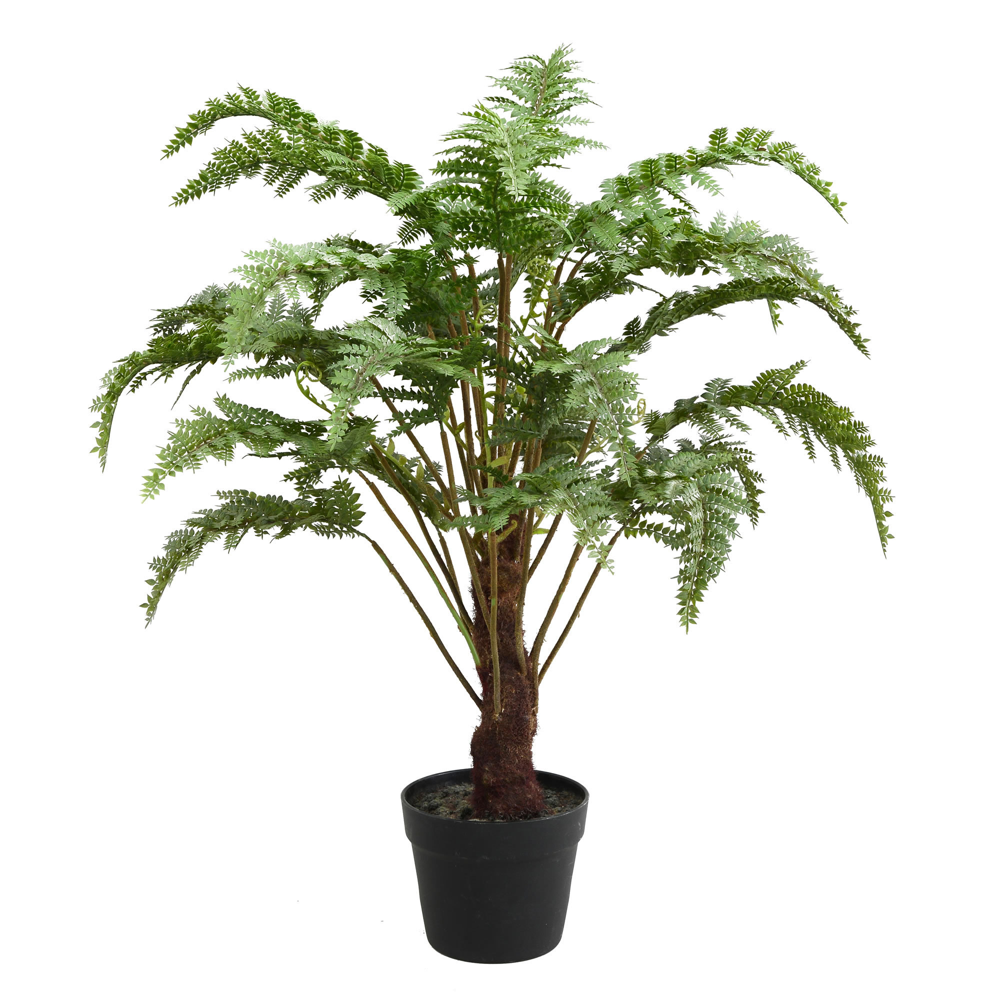 30'' Faux Fern Plant in Pot & Reviews AllModern