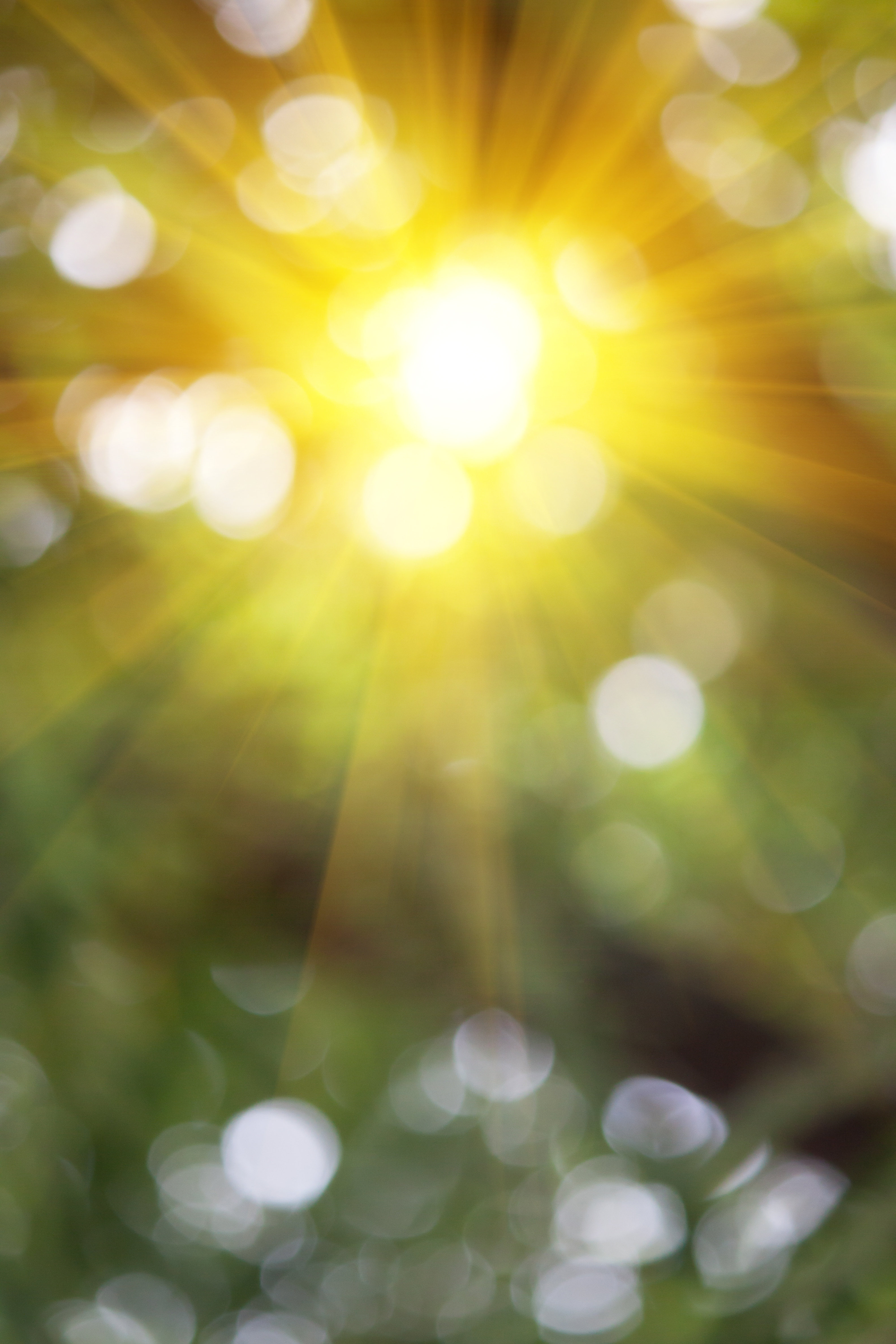 Hokku Designs Blurred Background Wayfair