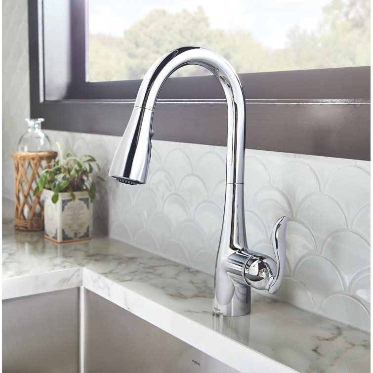 Arbor Pull Down Single Handle Kitchen Faucet with Accessories
