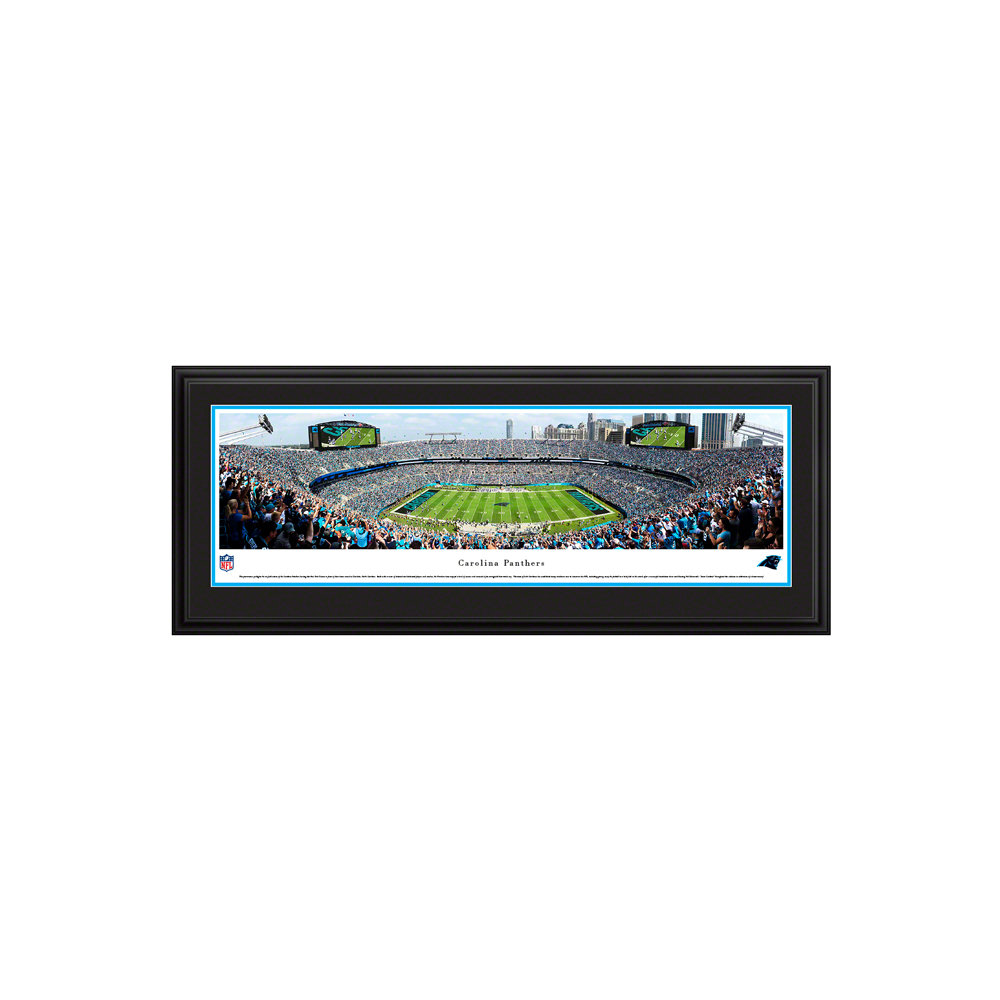 Carolina Panthers Panoramic Picture, Standard