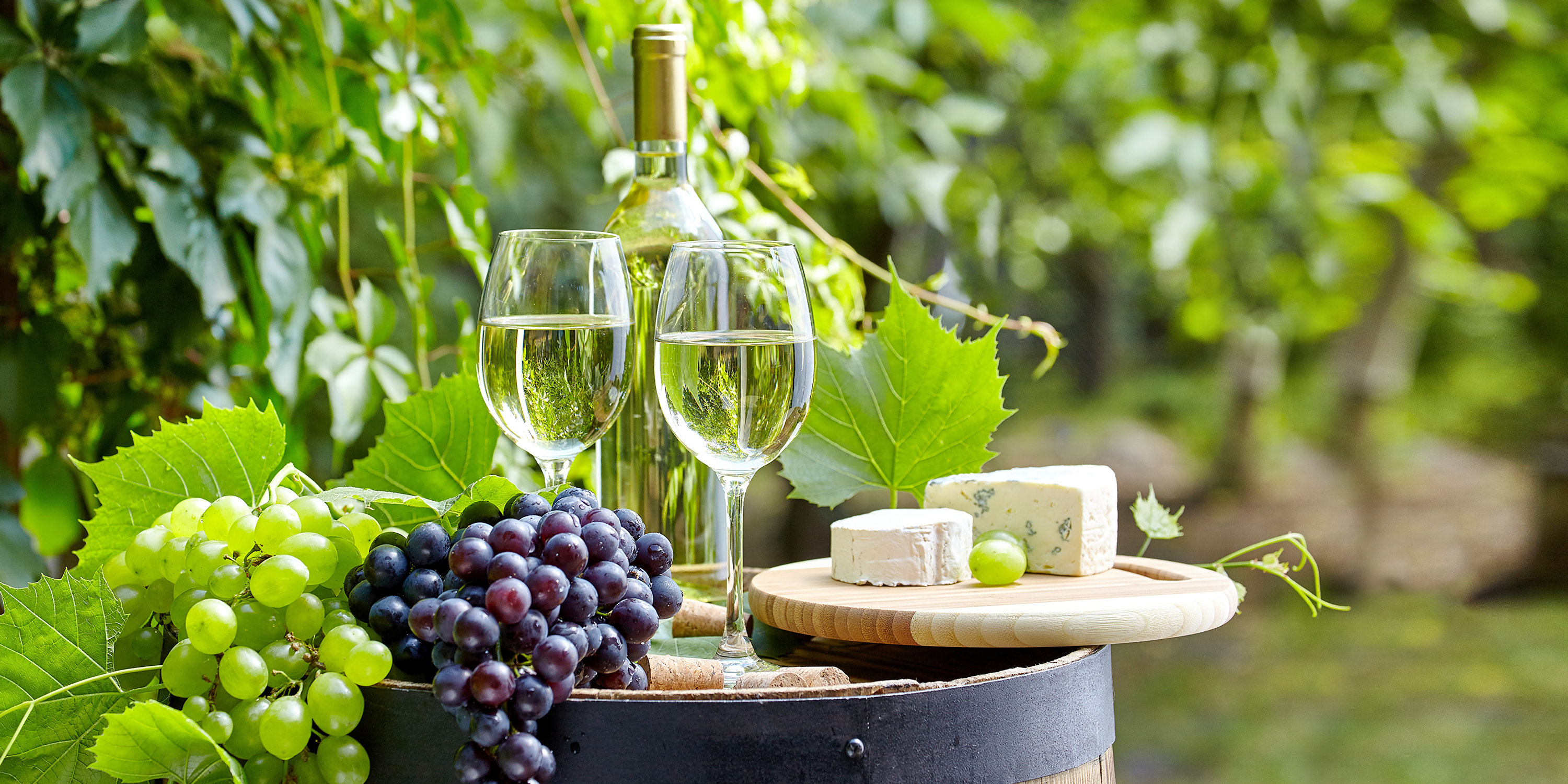 Red Barrel Studio® Wine Bottle Glass With Cheese And Grapes Still Life