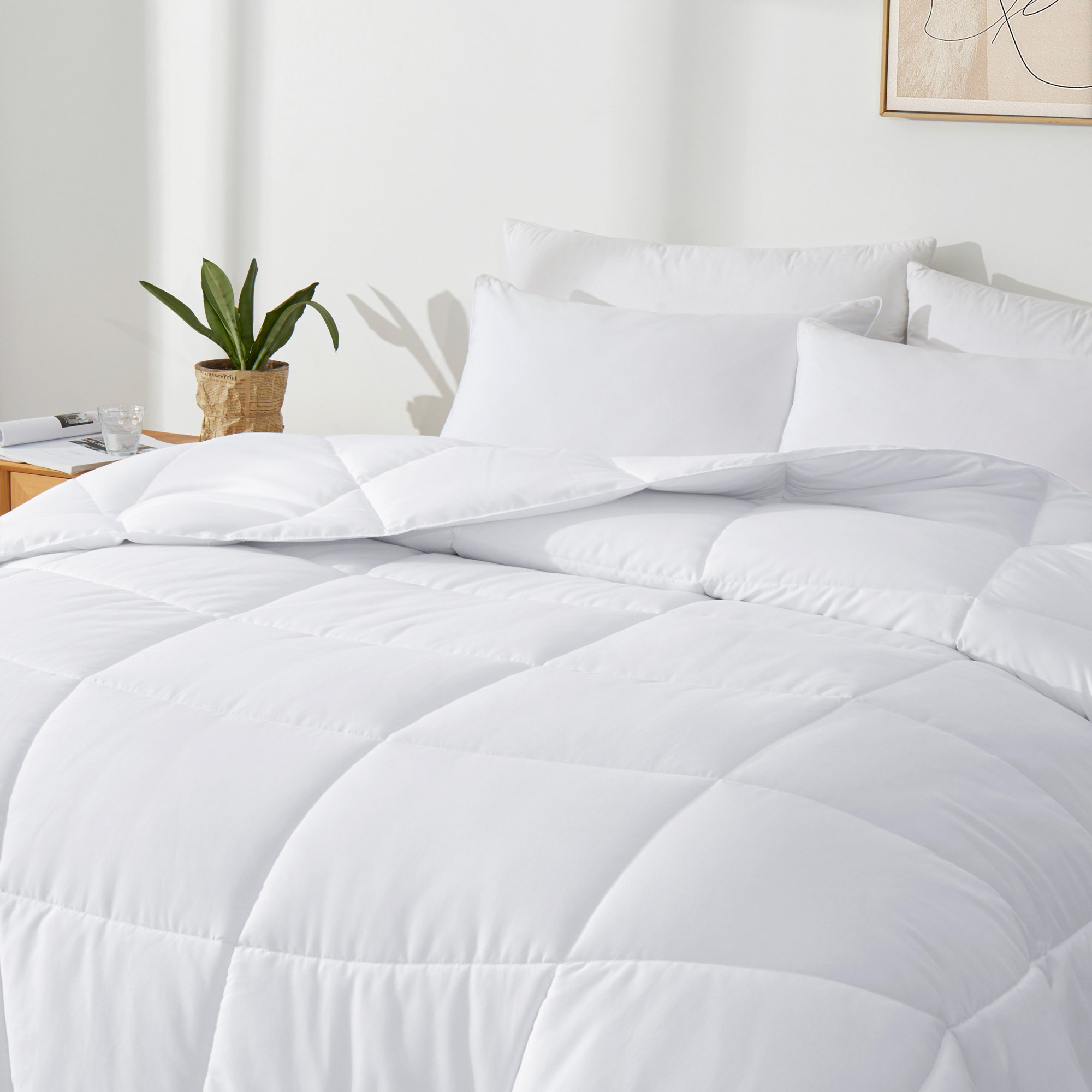 Latitude Run® All Season Polyester Down Alternative Comforter & Reviews