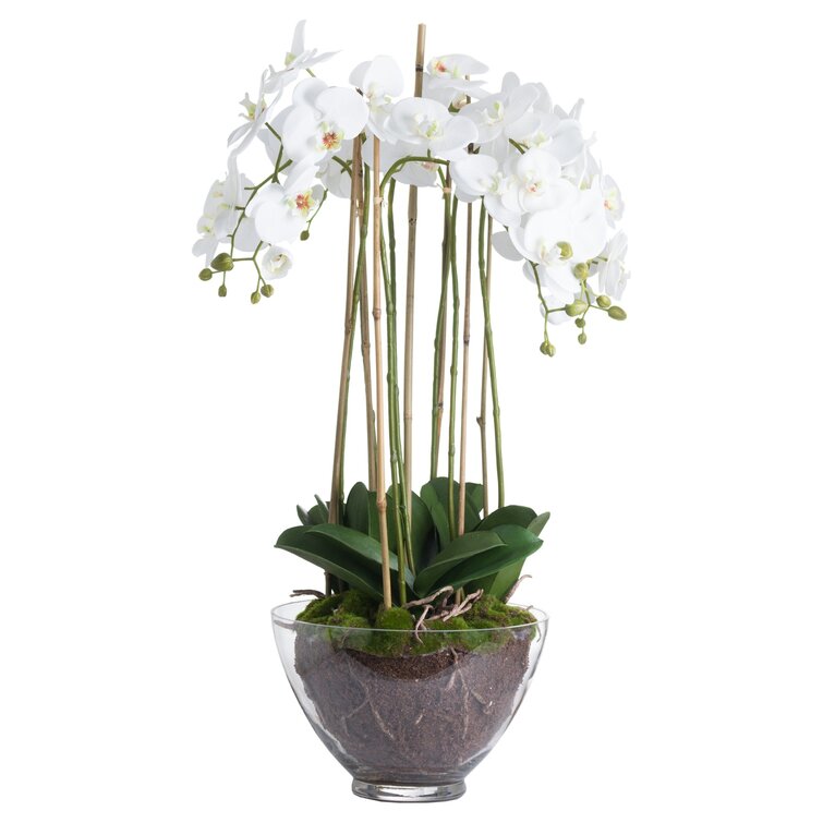 Centerpiece Elegant Artificial Flower Arrangement Phalaenopsis Orchid Silk Fake Flower with Decorative glass Vase Orchid Plant,White 