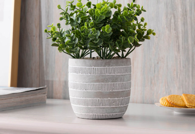 Plants & Trees Under $29.99