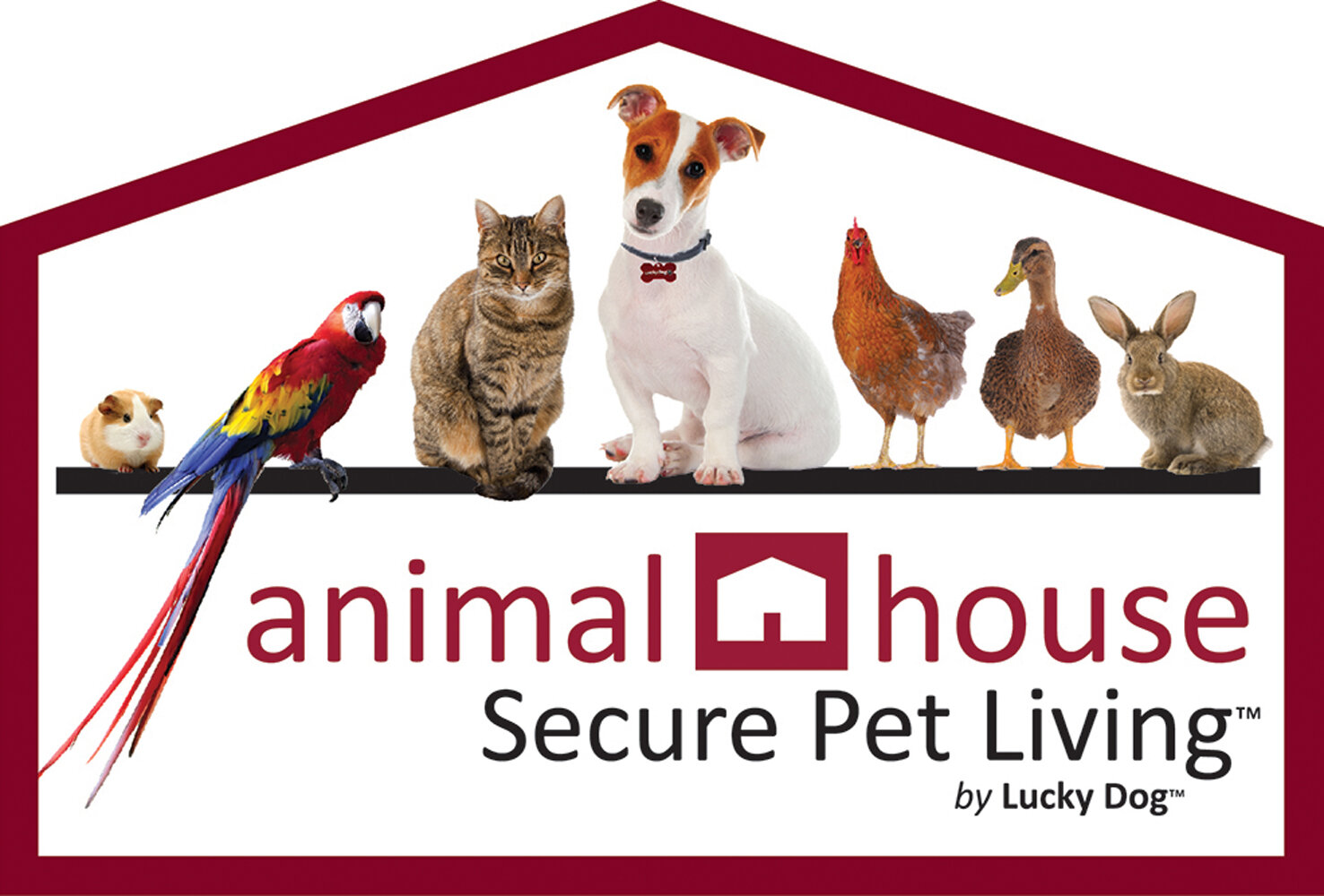 Animal House | Wayfair