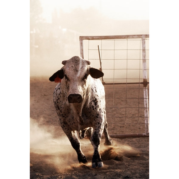 Rustic Brown Rodeo Union Rustic Angry Bull At Rodeo - Wrapped Canvas Photograph | Wayfair