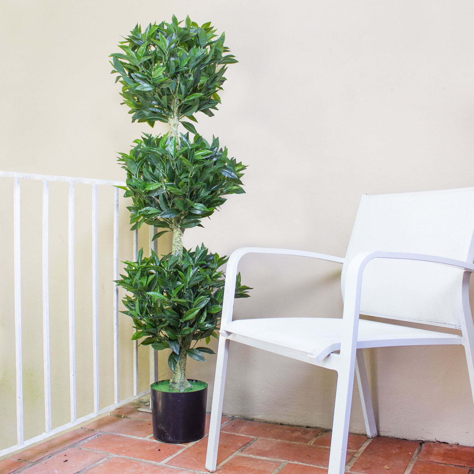 Primrue 5ft. Triple Bay Leaf Topiary UV Resistant (Indoor/Outdoor