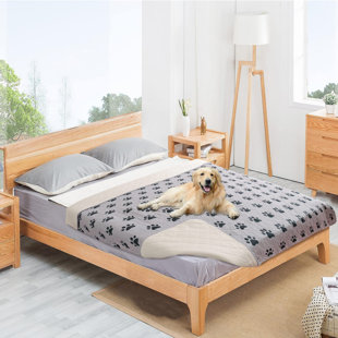 frisco travel pillow dog bed