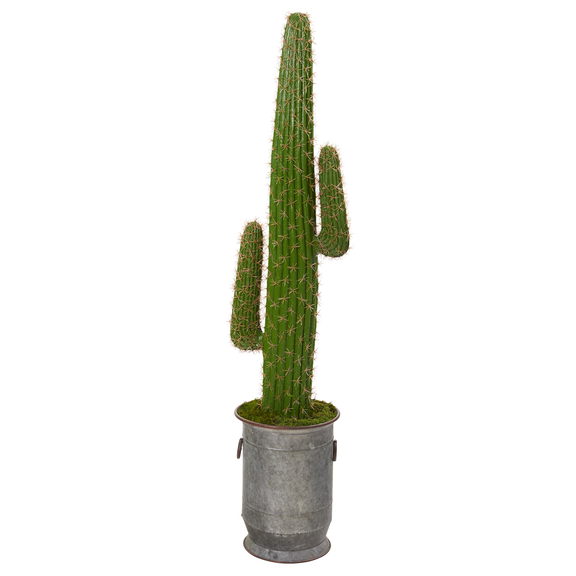 Primrue 64'' Faux Cactus Plant in Pot Wayfair