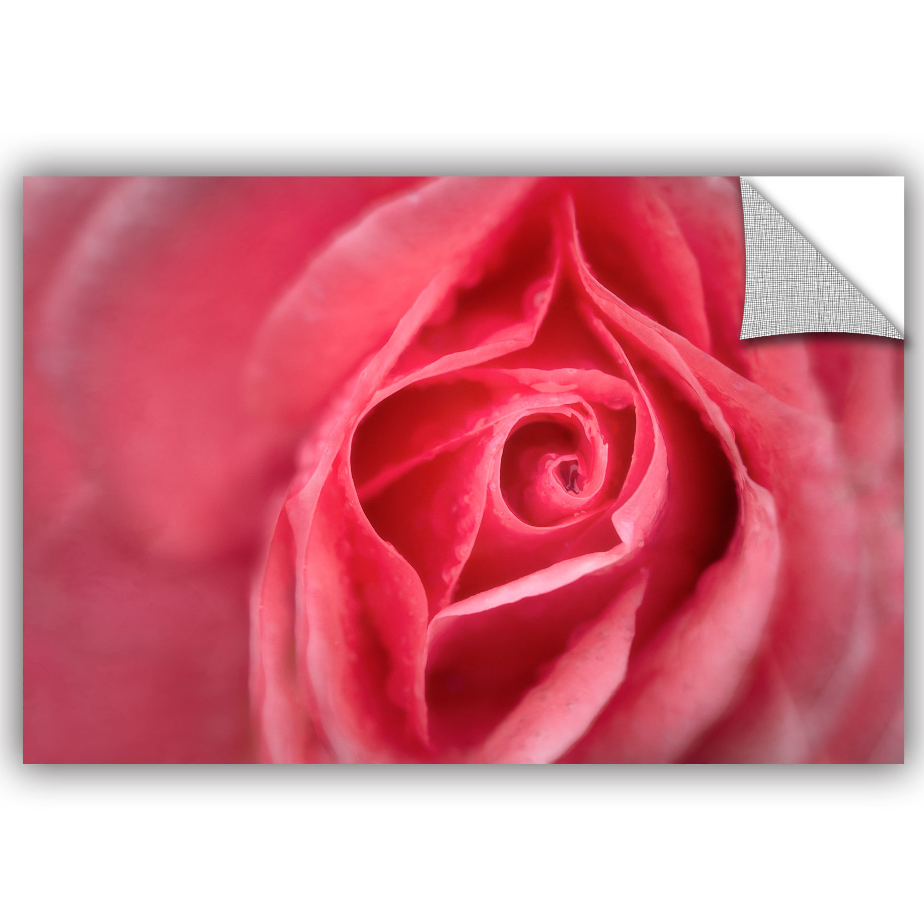 House of Hampton® Coral Pink Wall Decal Wayfair